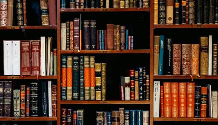 AI regulation in a fragmented world: where does india stand?